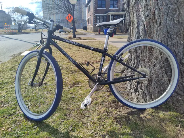 Bike collection photograph 4