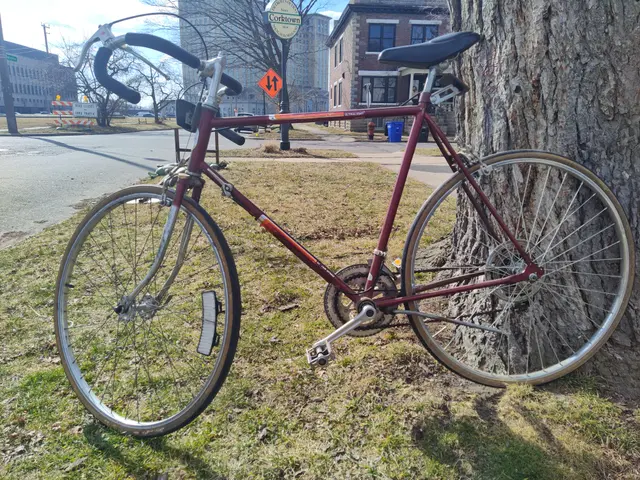 Bike collection photograph 7
