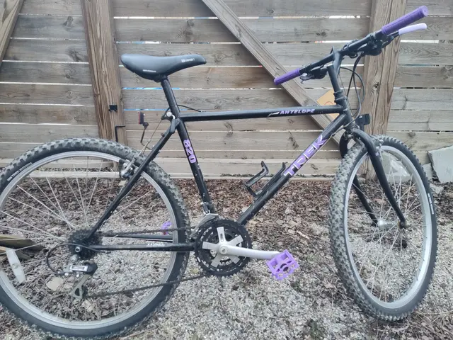 Bike collection photograph 9