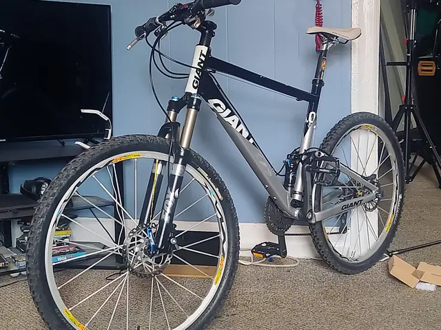 Bike collection photograph 15