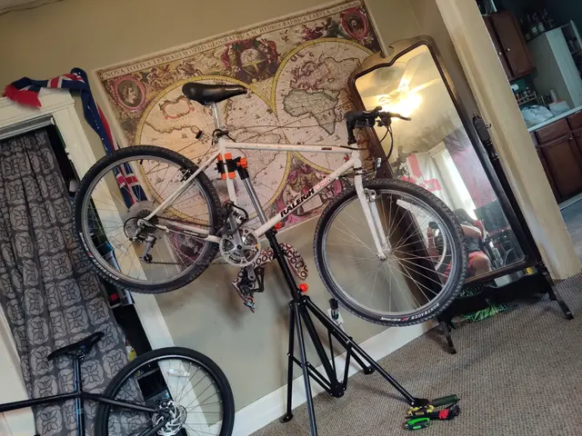 Bike collection photograph 18
