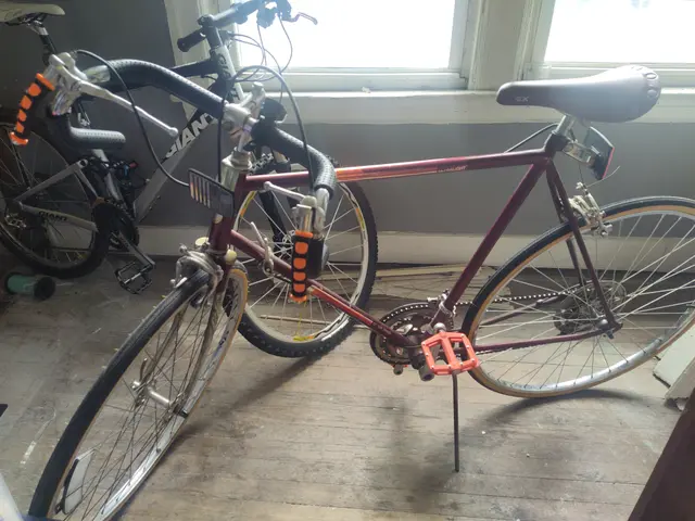 Bike collection photograph 27