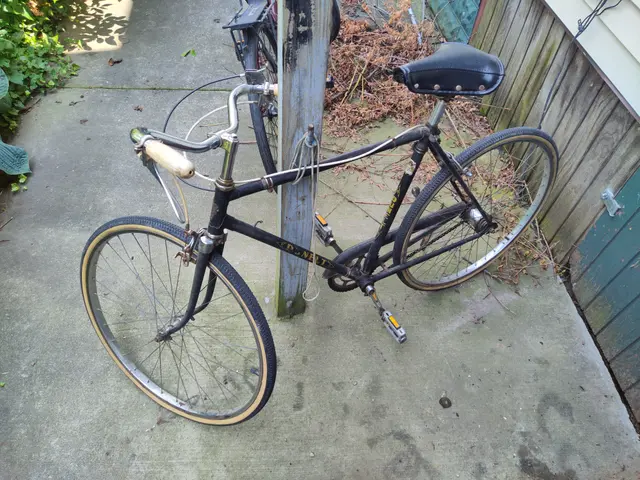 Bike collection photograph 29