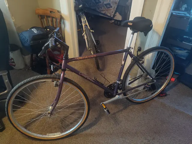 Bike collection photograph 31
