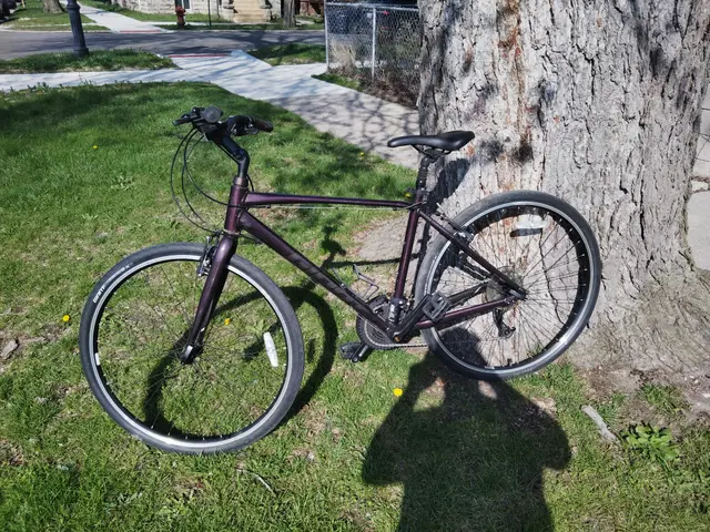 Bike collection photograph 38