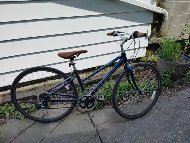 Bike collection photograph 75