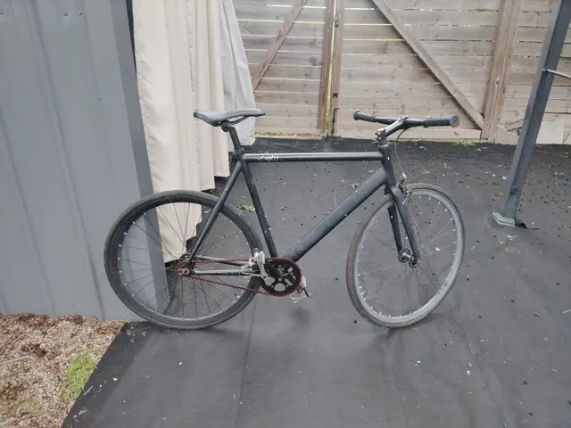 Bike collection photograph 101