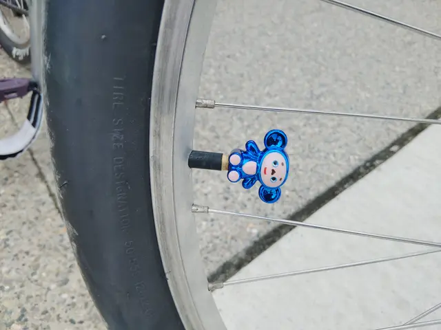Bike collection photograph 129